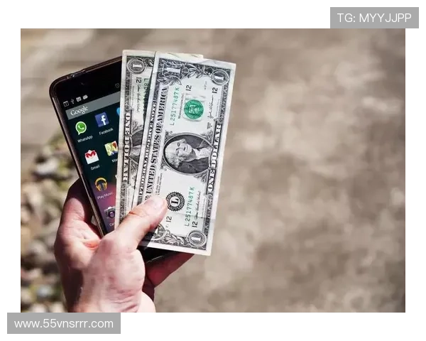 博彩导航平台的合法性与合规性分析